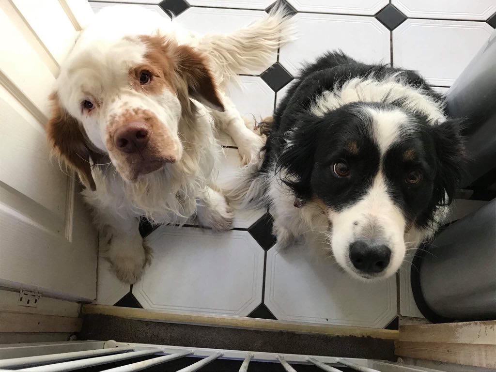 Clifford and Baillie